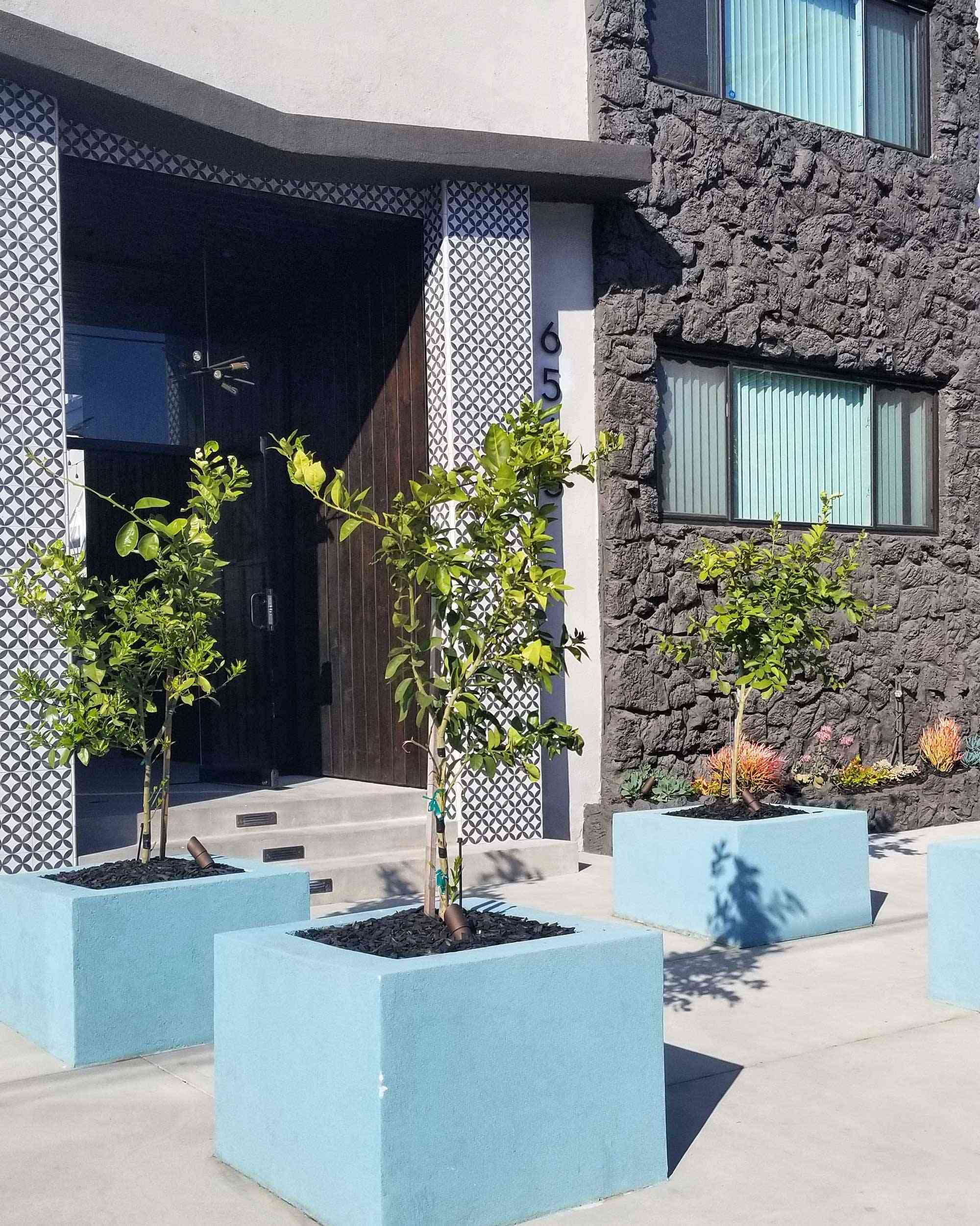 modern exterior stonework and landscaping