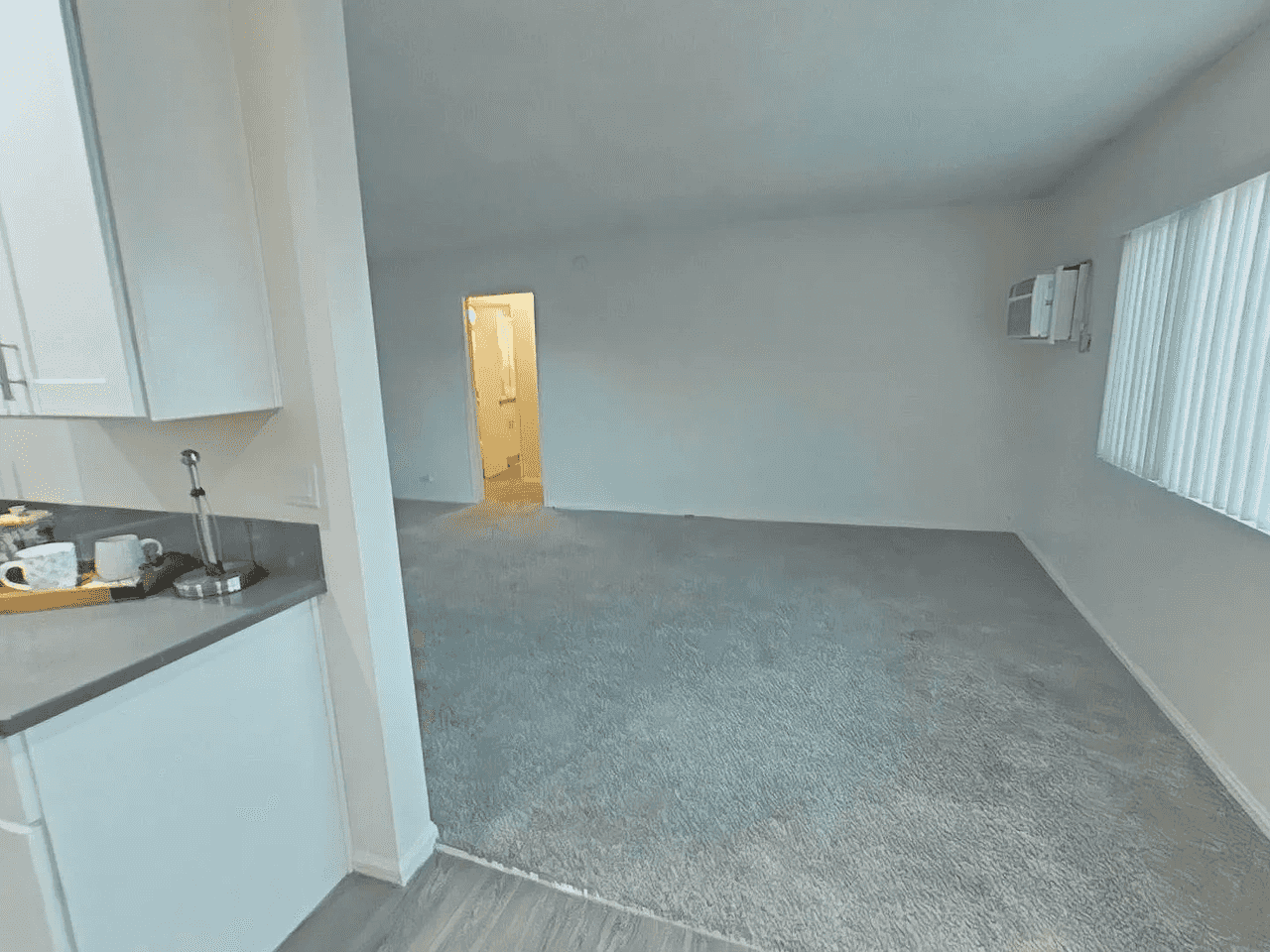 spacious living area with plush carpeting