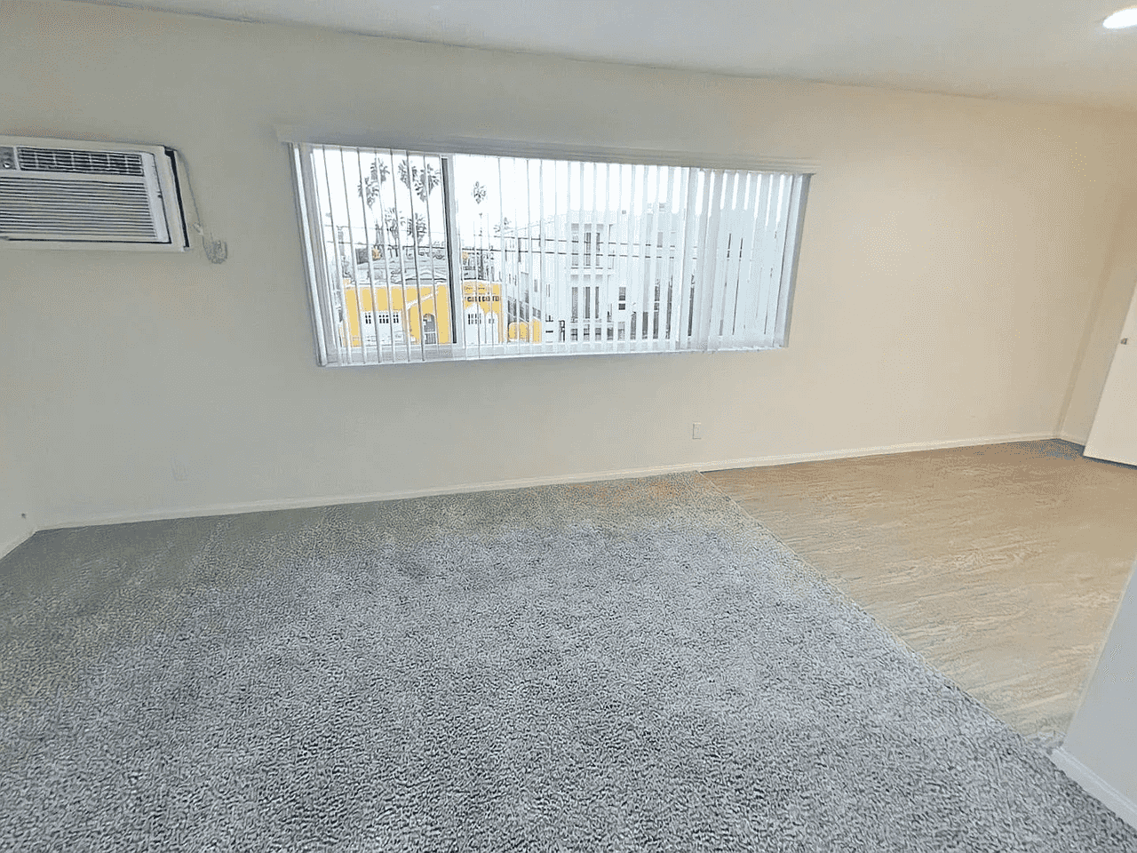 bright living room with windows