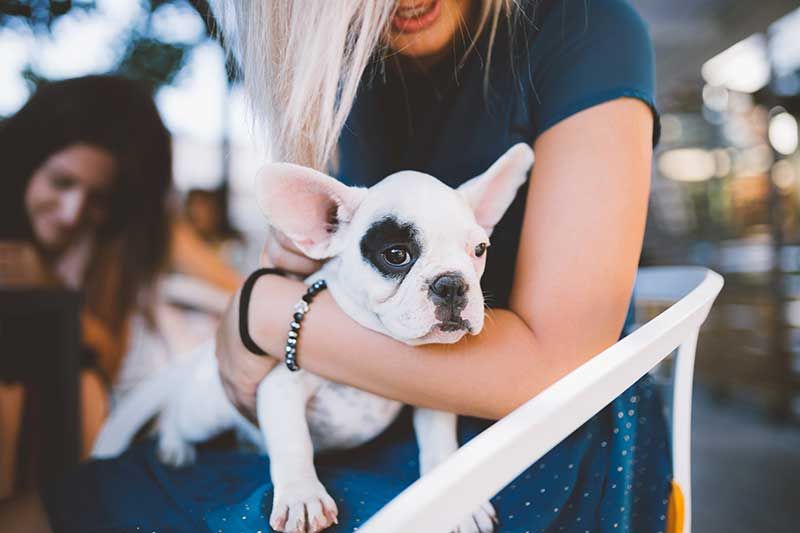 Woman holding her puppy at Bleu Apartments